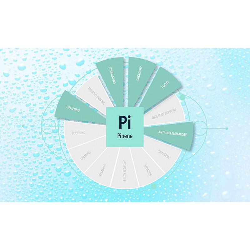 Регулятор влажности Integra Boost 62% + терпен Pinene